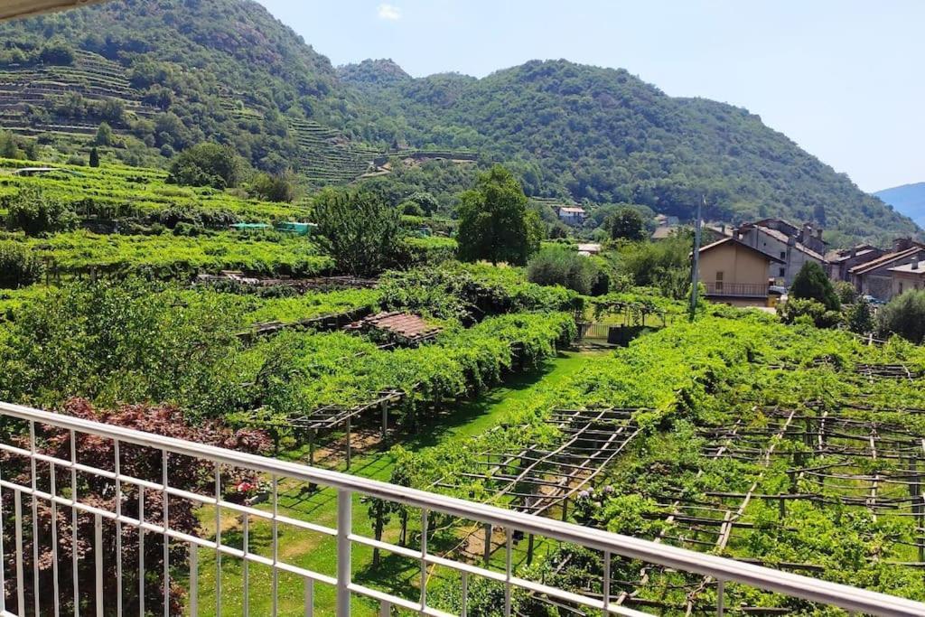 La Casa Dei Nonni 3,0 Daire Carema Dış mekan fotoğraf