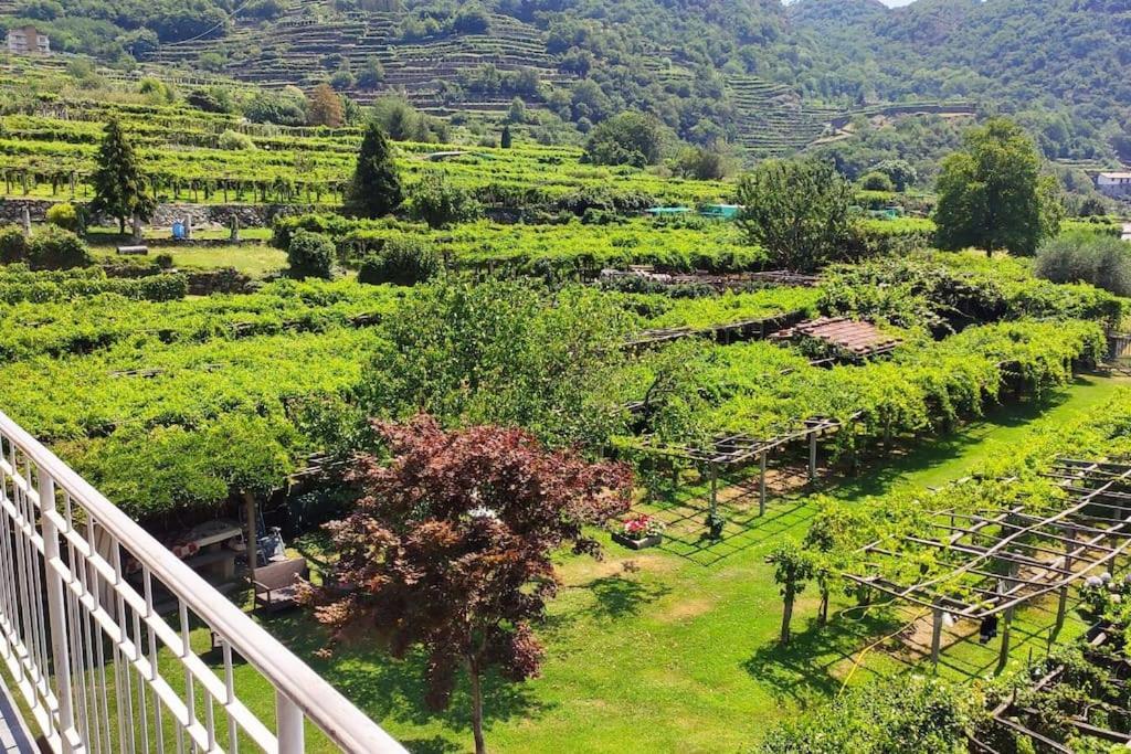 La Casa Dei Nonni 3,0 Daire Carema Dış mekan fotoğraf